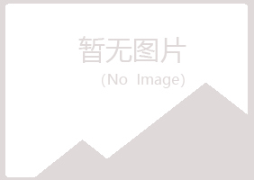 安图县代云咨询有限公司